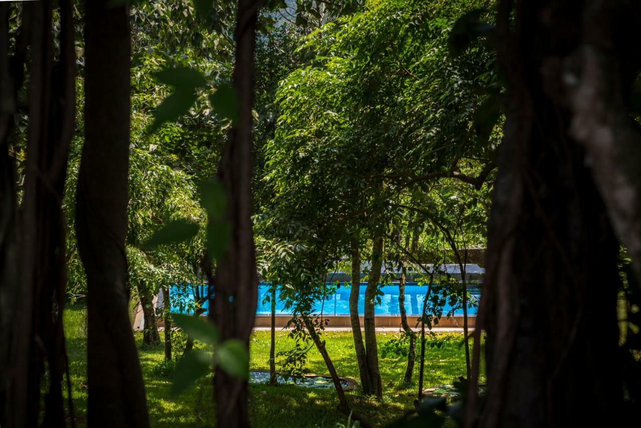 The Postcard Velha, Goa Hotel Old Goa Exterior photo
